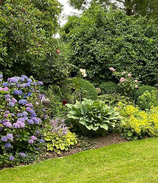 Garten Eke Ulms Hage - Blandorf