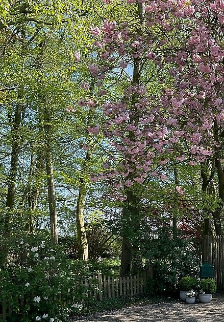 Garten Eke Ulms Hage - Blandorf
