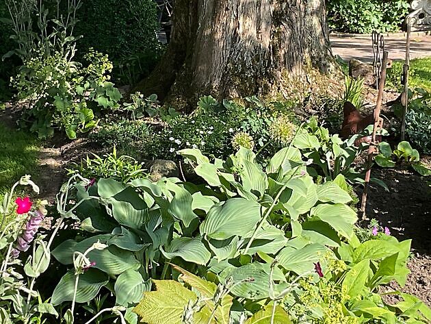 Garten Eke Ulms Hage - Blandorf