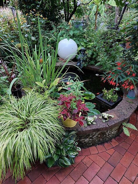 Garten zum grünen Daumen Lingen
