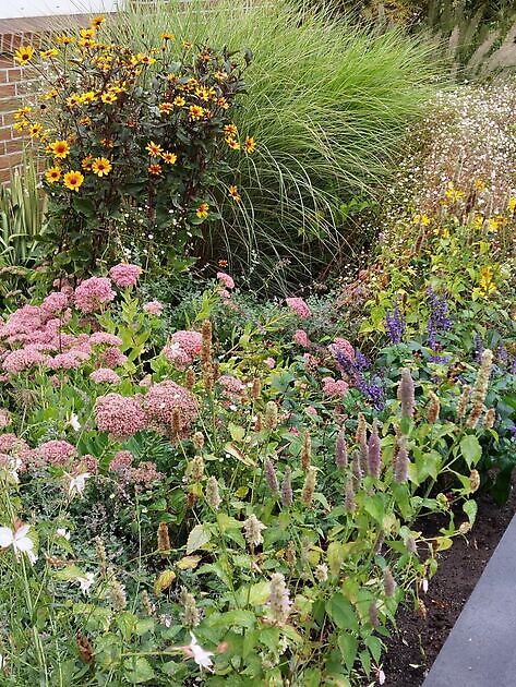 Garten zum grünen Daumen Lingen
