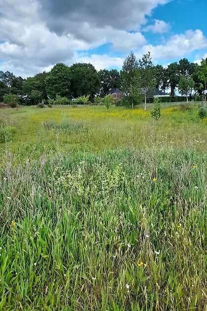Tuin Kees & Charlotte Traas Bronnegerveen