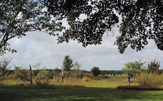 Tuin Kees & Charlotte Traas Bronnegerveen