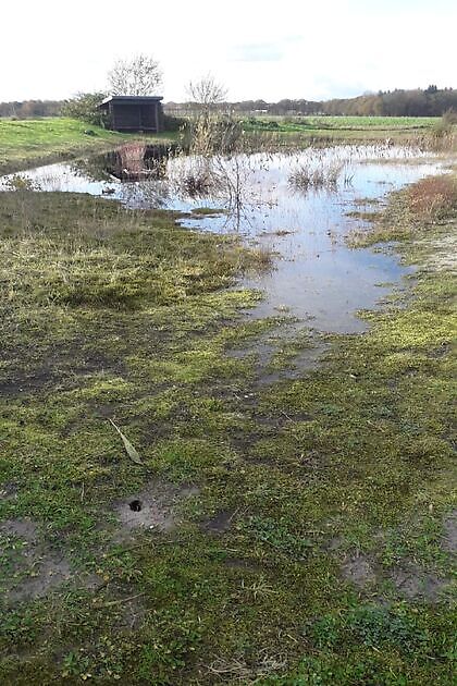 Tuin Kees & Charlotte Traas Bronnegerveen