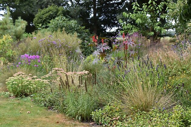 Tuin Kees & Charlotte Traas Bronnegerveen