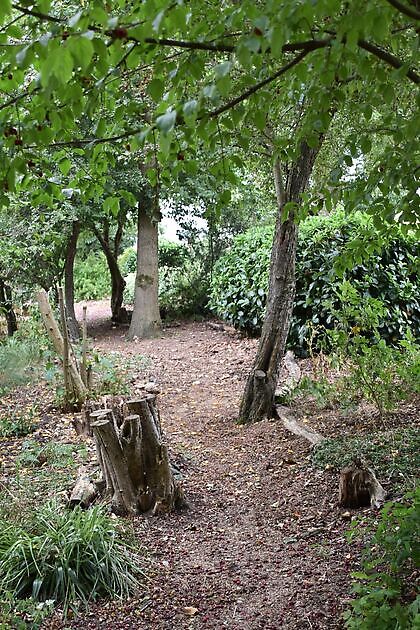 Tuin Kees & Charlotte Traas Bronnegerveen