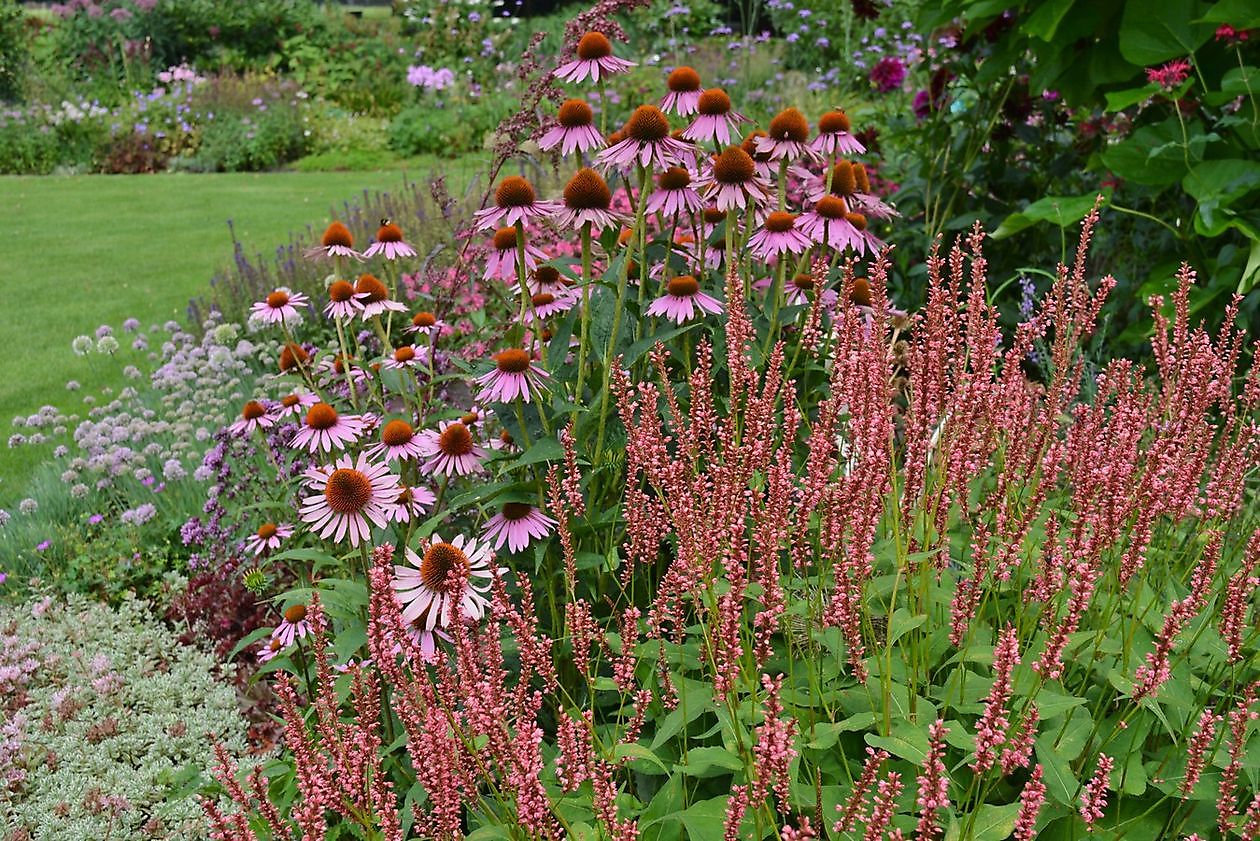 Vechtetal Garten - Het Tuinpad Op / In Nachbars Garten