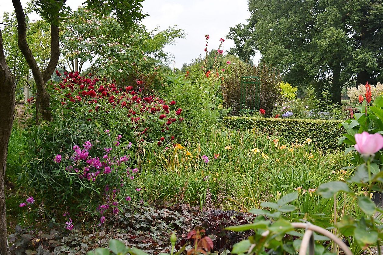 Vechtetal Garten - Het Tuinpad Op / In Nachbars Garten