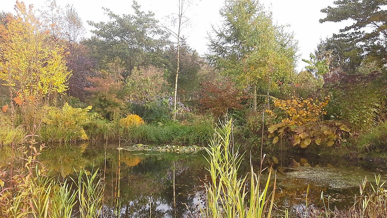 ‘t Vlijtig Loesje (die fleissige Loesje) - Het Tuinpad Op / In Nachbars Garten