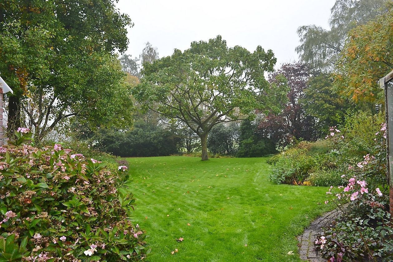 Aan de Vaart - Het Tuinpad Op / In Nachbars Garten