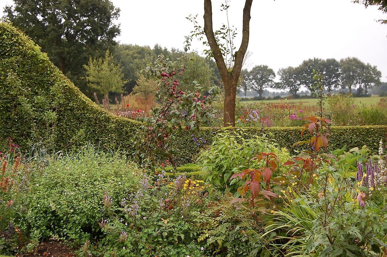 Roos van Hijken - Het Tuinpad Op / In Nachbars Garten