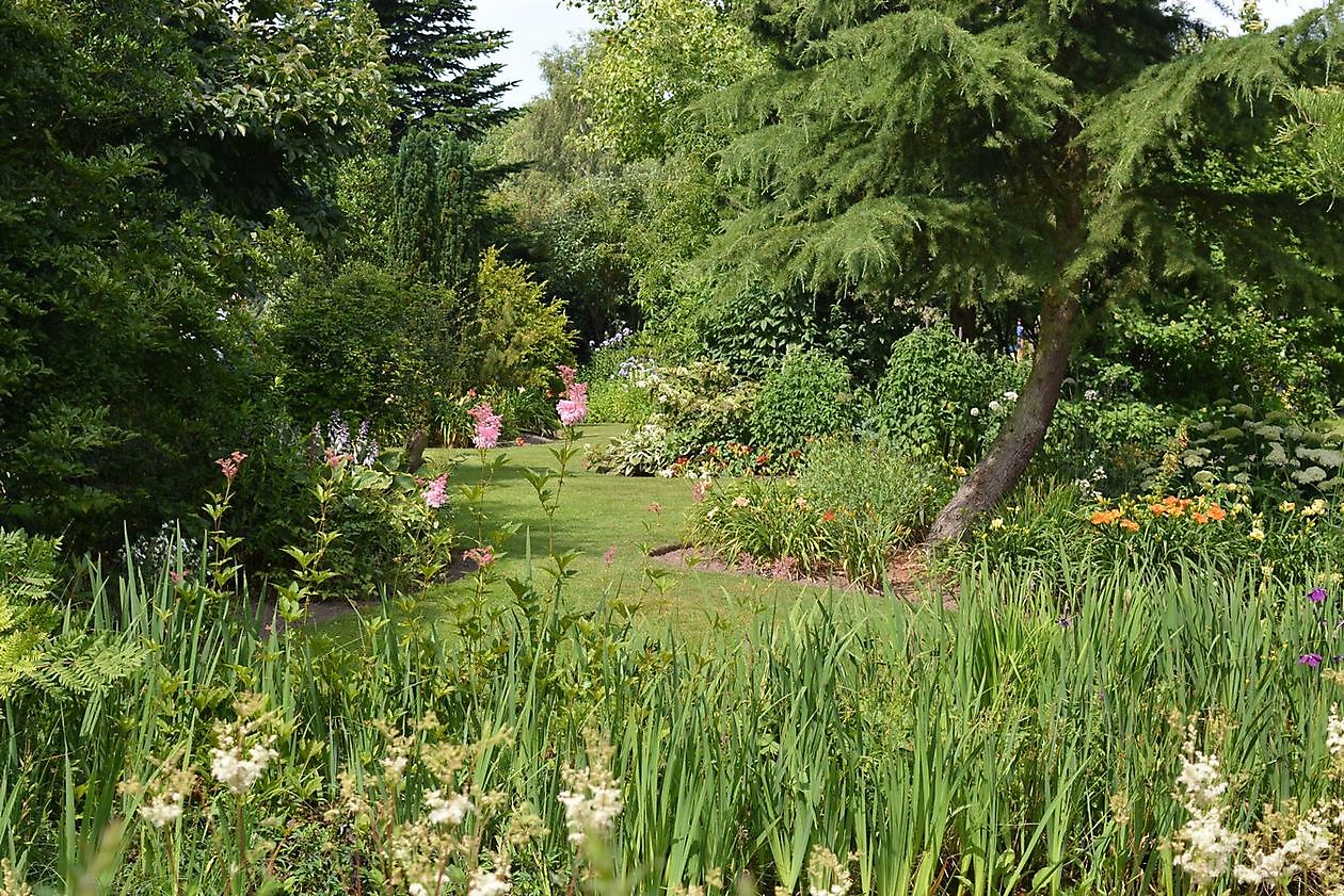 Die Westerwoldse Lilie - Het Tuinpad Op / In Nachbars Garten
