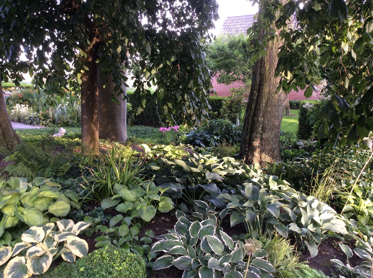 De Woldtuin - Het Tuinpad Op / In Nachbars Garten