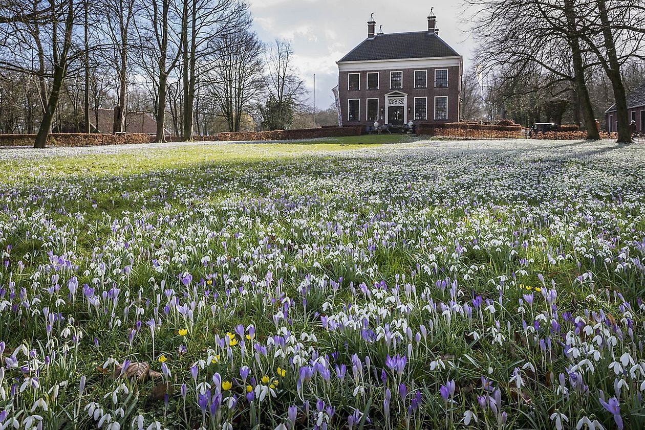 Landgut Ennemaborg - Het Tuinpad Op / In Nachbars Garten