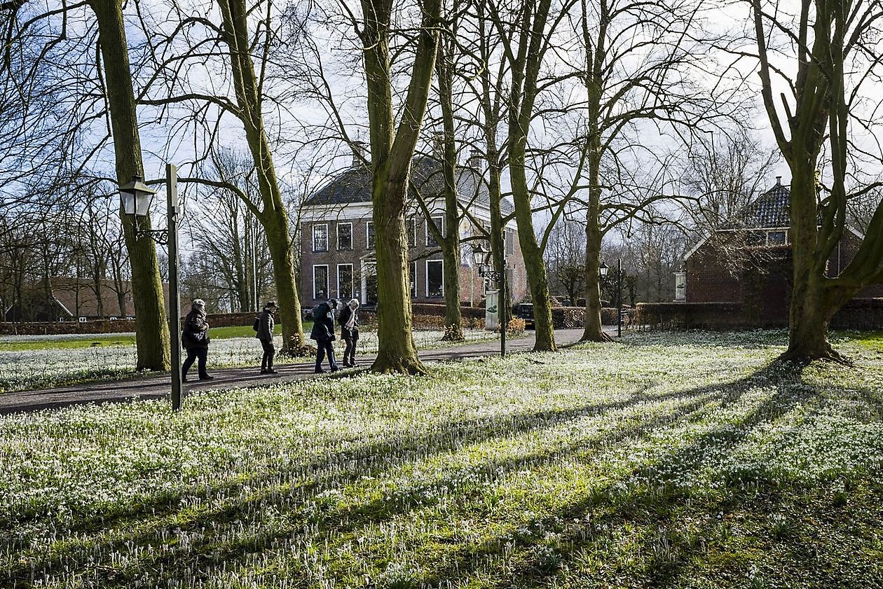 Landgut Ennemaborg - Het Tuinpad Op / In Nachbars Garten