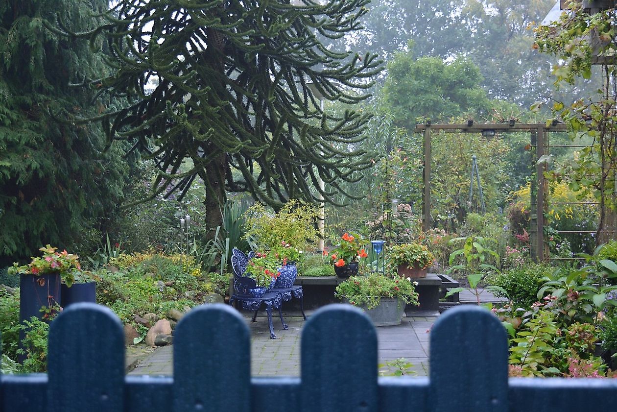 De Groene Weelde: Die grüne Fülle - Het Tuinpad Op / In Nachbars Garten