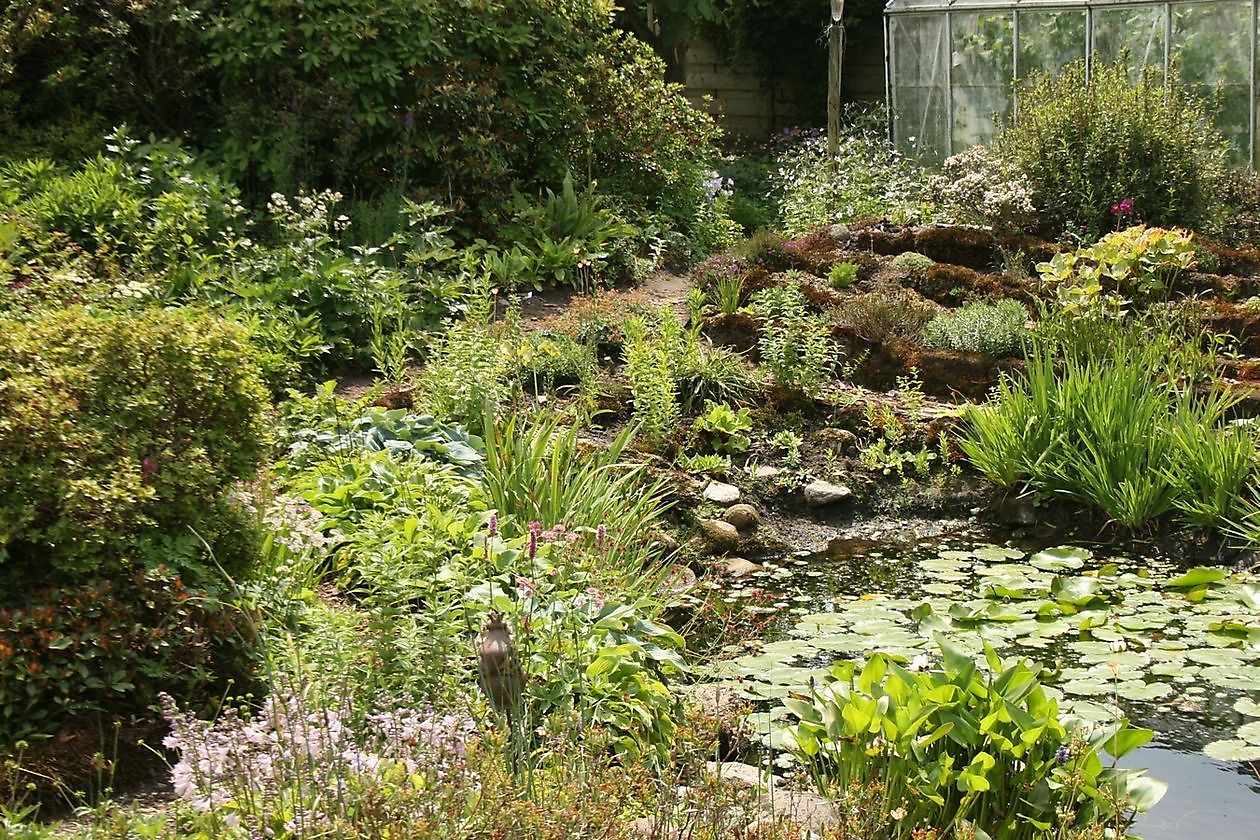 Jan & Ivonne Wieringa - Het Tuinpad Op / In Nachbars Garten