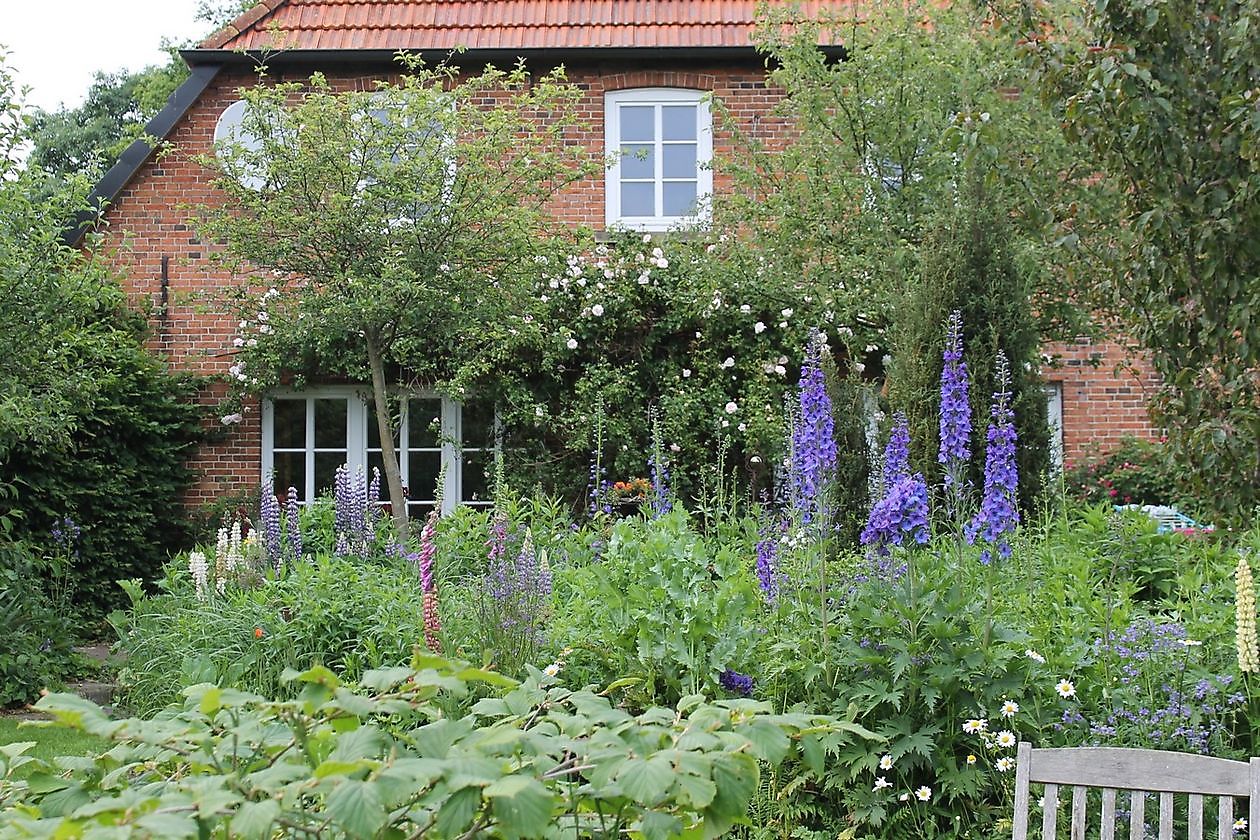 Stauden-Oase - Het Tuinpad Op / In Nachbars Garten