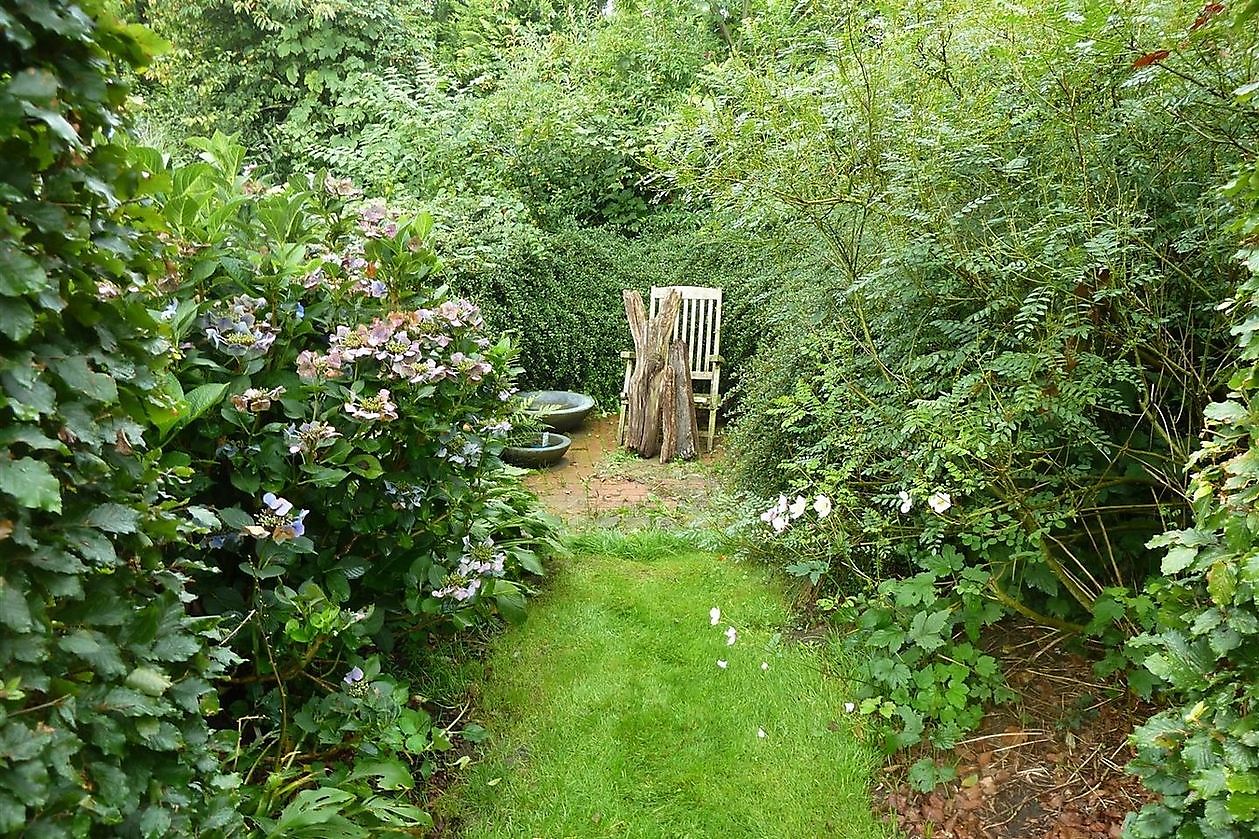 Stauden-Oase - Het Tuinpad Op / In Nachbars Garten