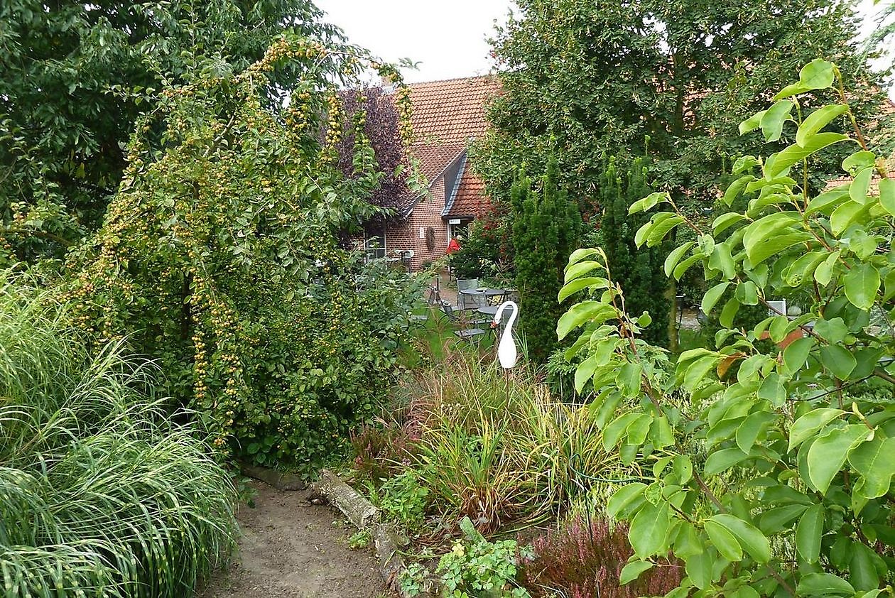 Stauden-Oase - Het Tuinpad Op / In Nachbars Garten