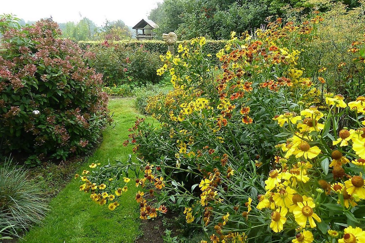 Stauden-Oase - Het Tuinpad Op / In Nachbars Garten