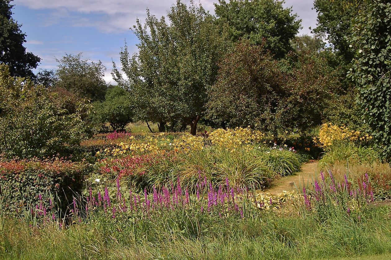 Hortus Haren - Het Tuinpad Op / In Nachbars Garten