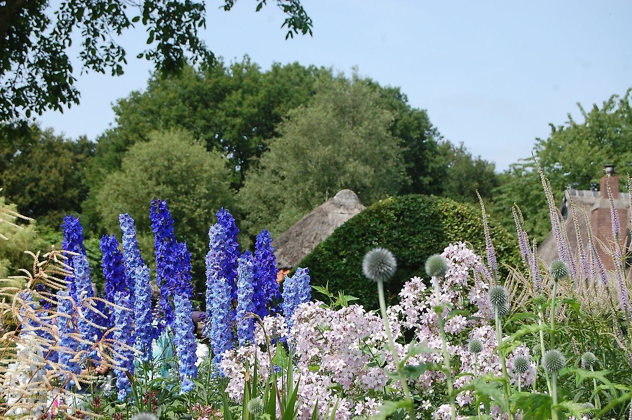 Roos van Hijken - Het Tuinpad Op / In Nachbars Garten