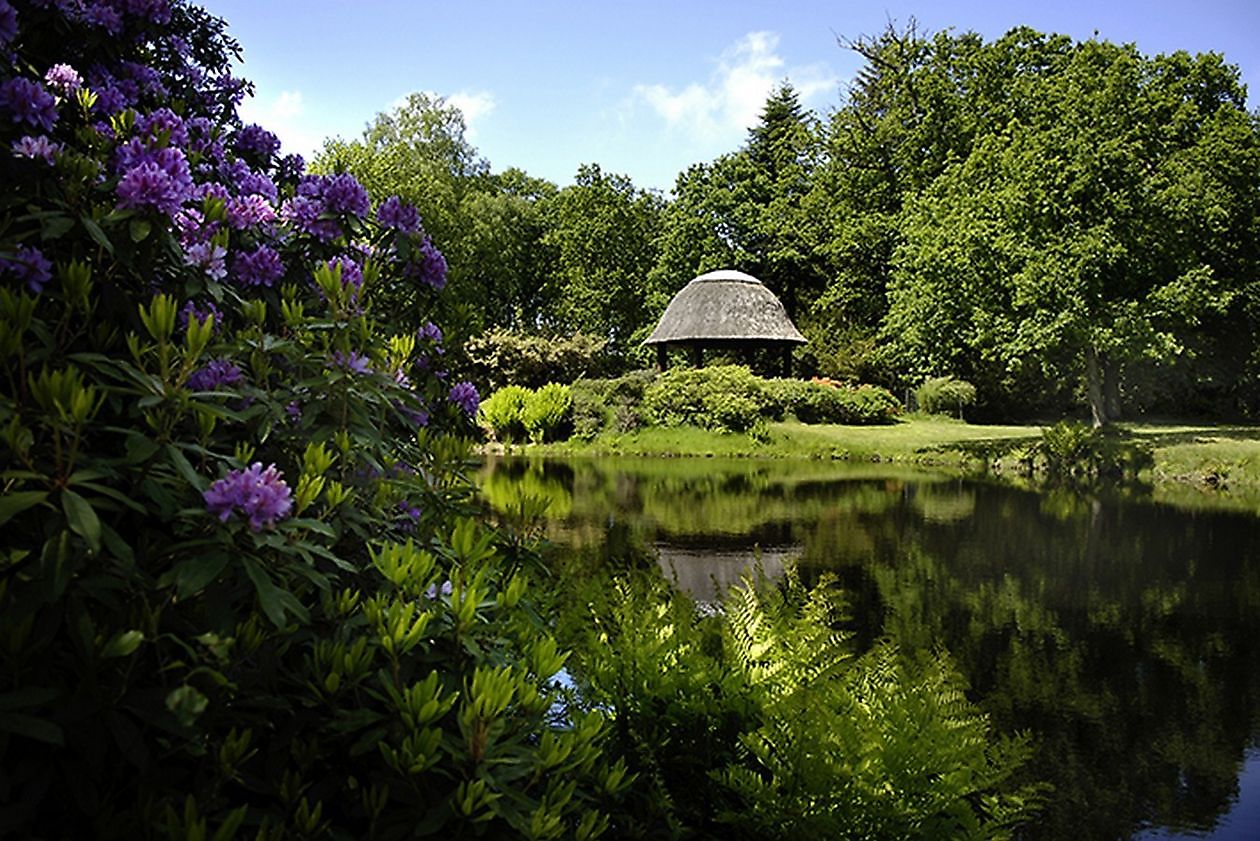 Lütetsburger Schlosspark - Het Tuinpad Op / In Nachbars Garten