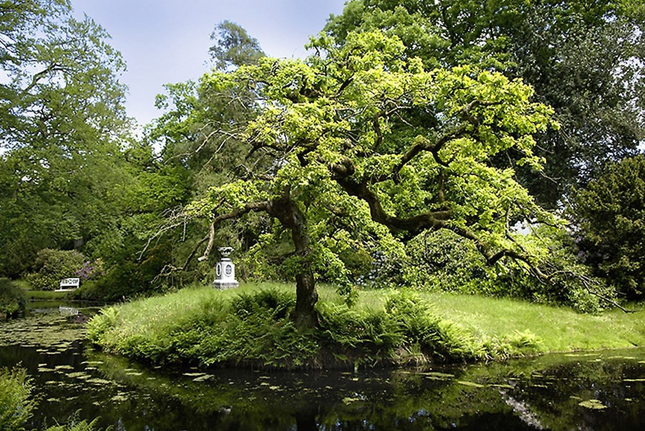 Lütetsburger Schlosspark - Het Tuinpad Op / In Nachbars Garten