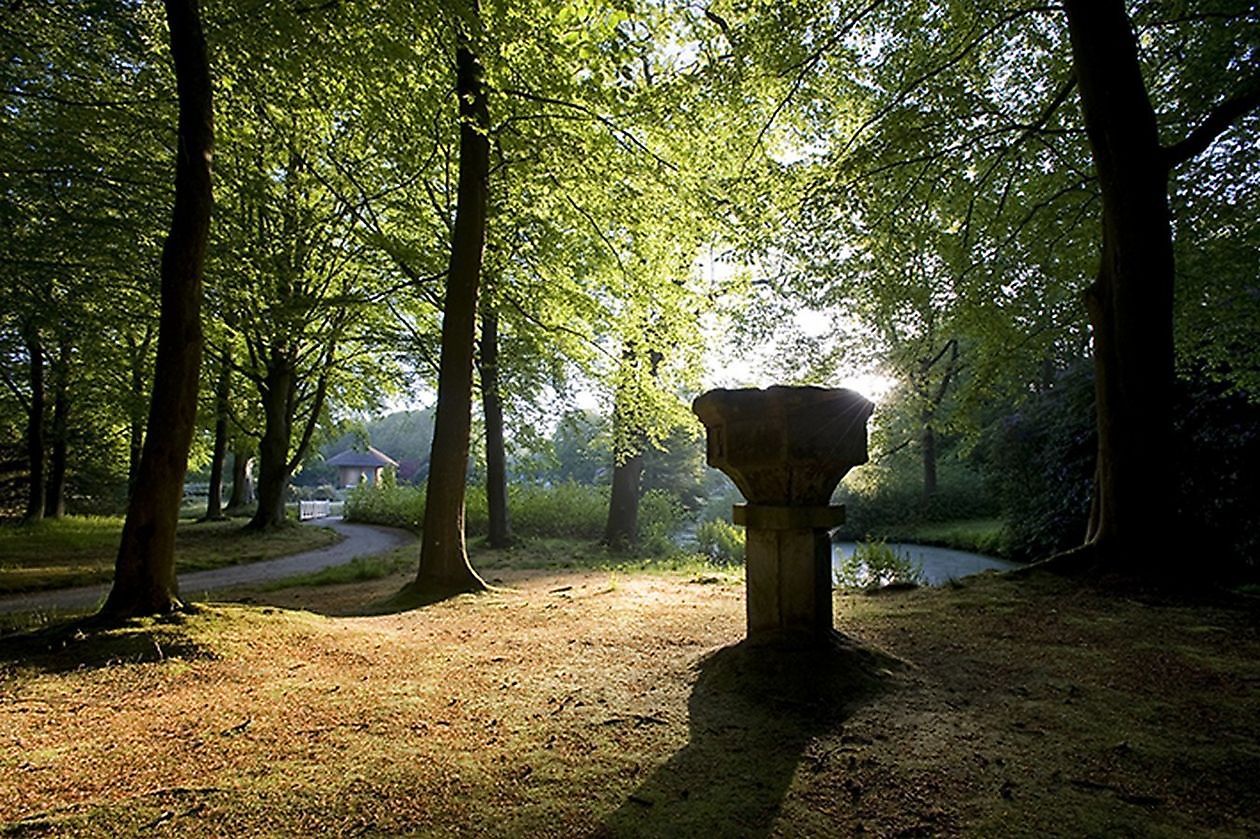 Lütetsburger Schlosspark - Het Tuinpad Op / In Nachbars Garten