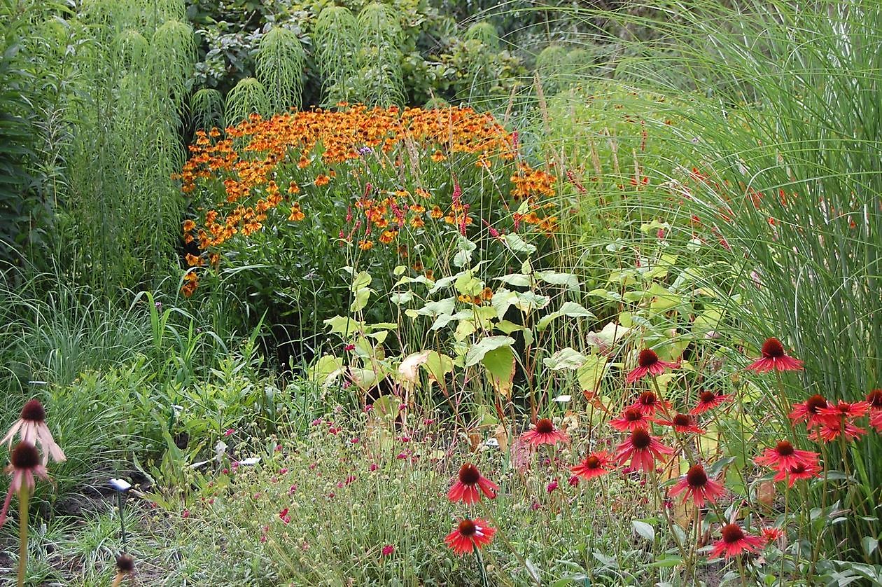 Tuingoed Foltz - Het Tuinpad Op / In Nachbars Garten