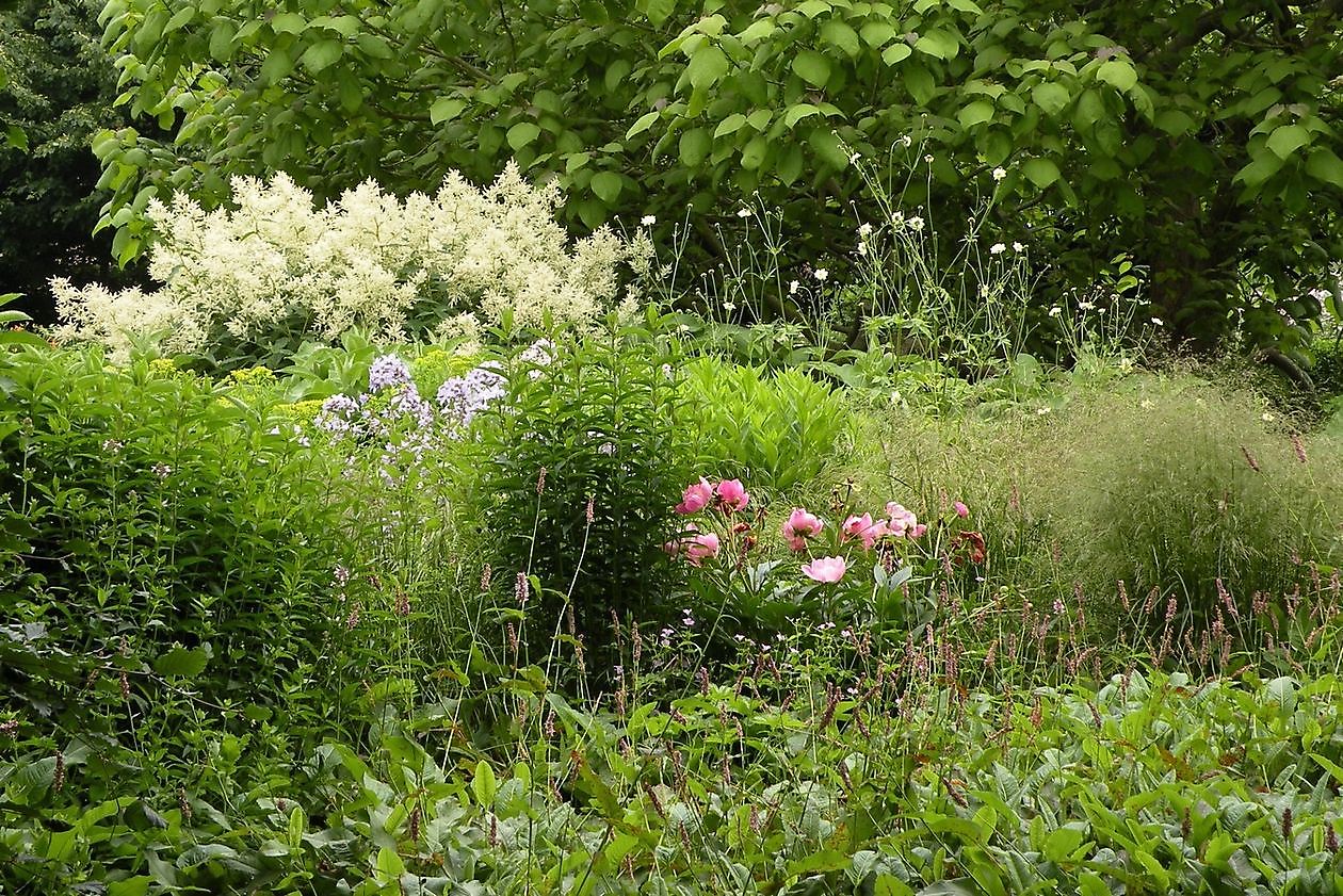 Tuingoed Foltz - Het Tuinpad Op / In Nachbars Garten