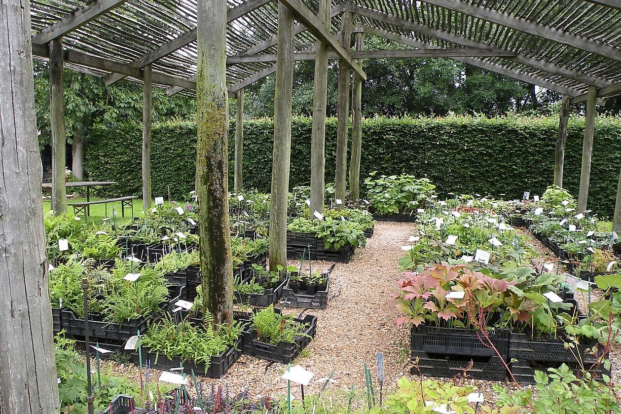 Tuingoed Foltz - Het Tuinpad Op / In Nachbars Garten