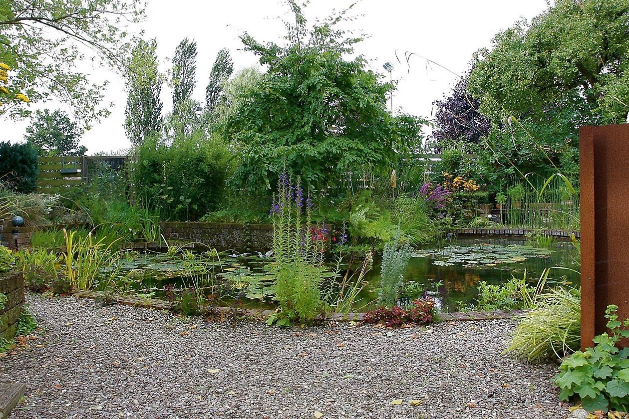 De Witte Wolk - Het Tuinpad Op / In Nachbars Garten