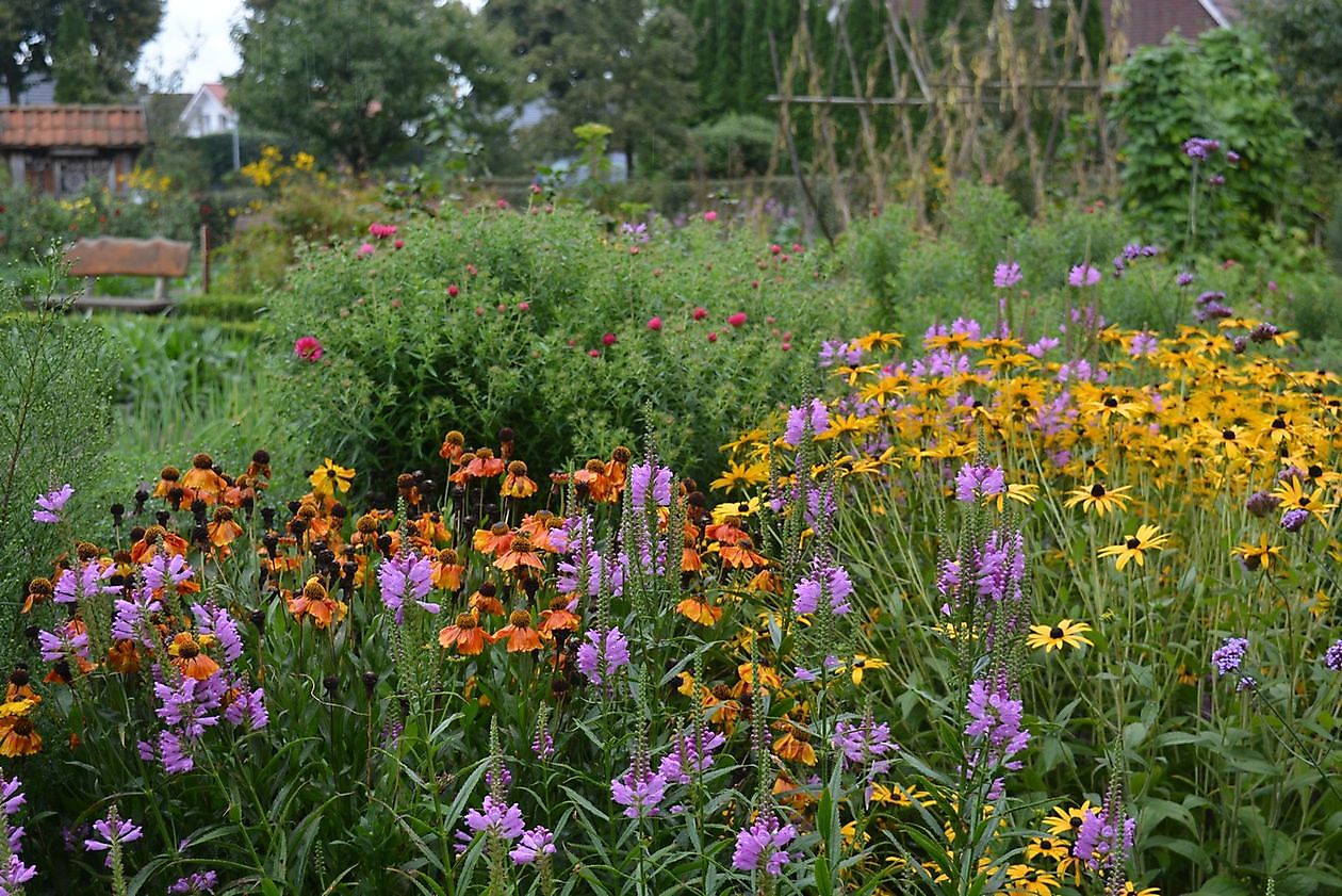 Bauerngarten des Heimatvereins Oberlangen - Het Tuinpad Op / In Nachbars Garten