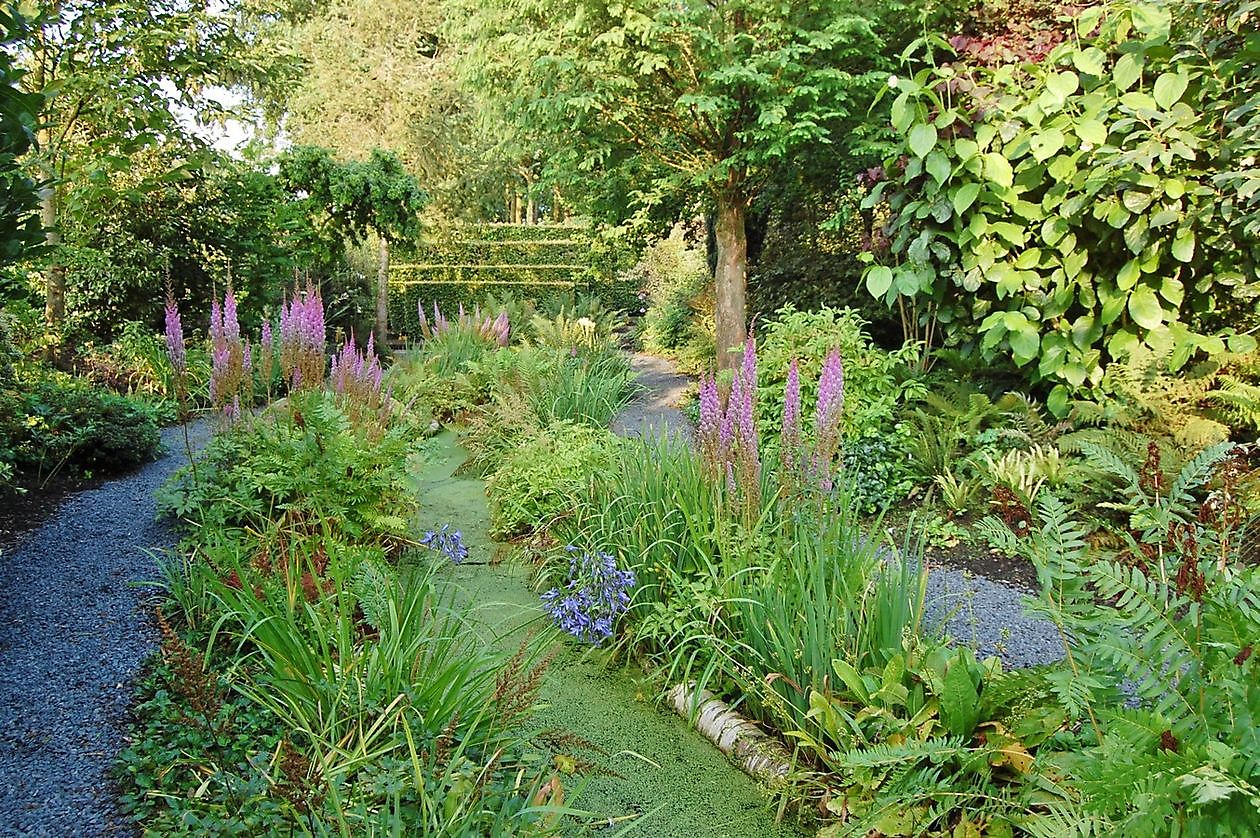 Tuinfleur - Het Tuinpad Op / In Nachbars Garten