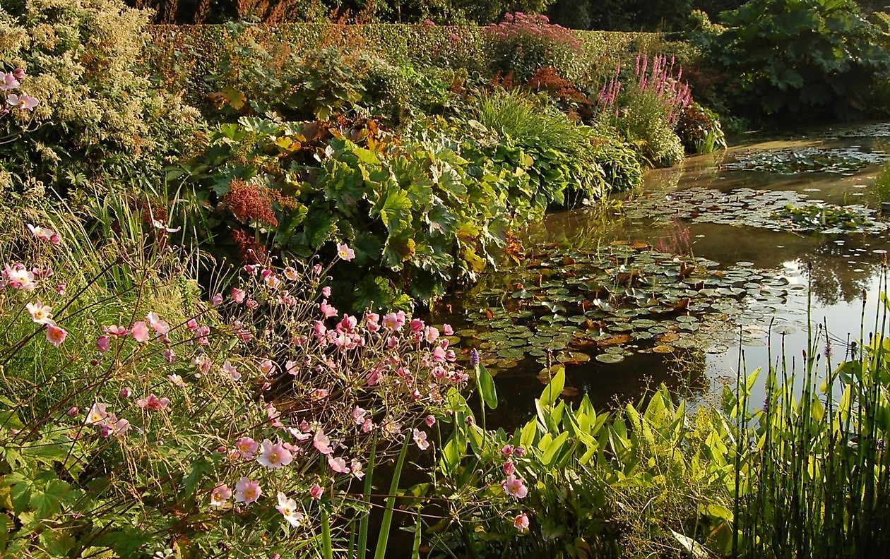 Tuinfleur - Het Tuinpad Op / In Nachbars Garten