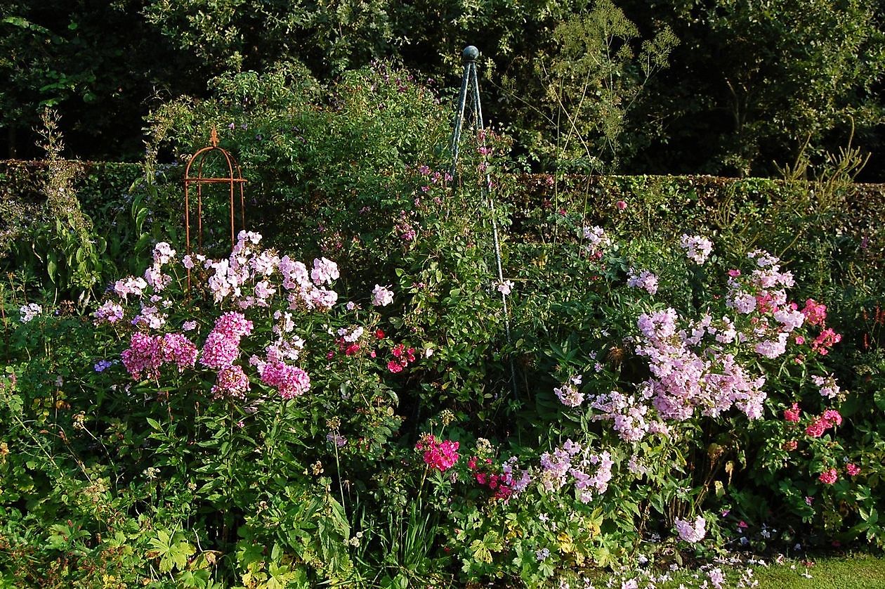 Tuinfleur - Het Tuinpad Op / In Nachbars Garten