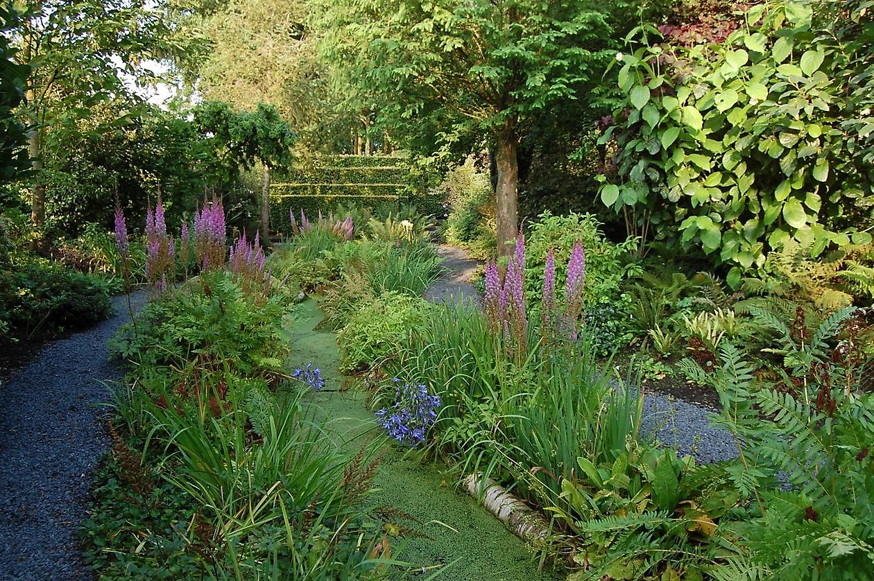 Tuinfleur - Het Tuinpad Op / In Nachbars Garten