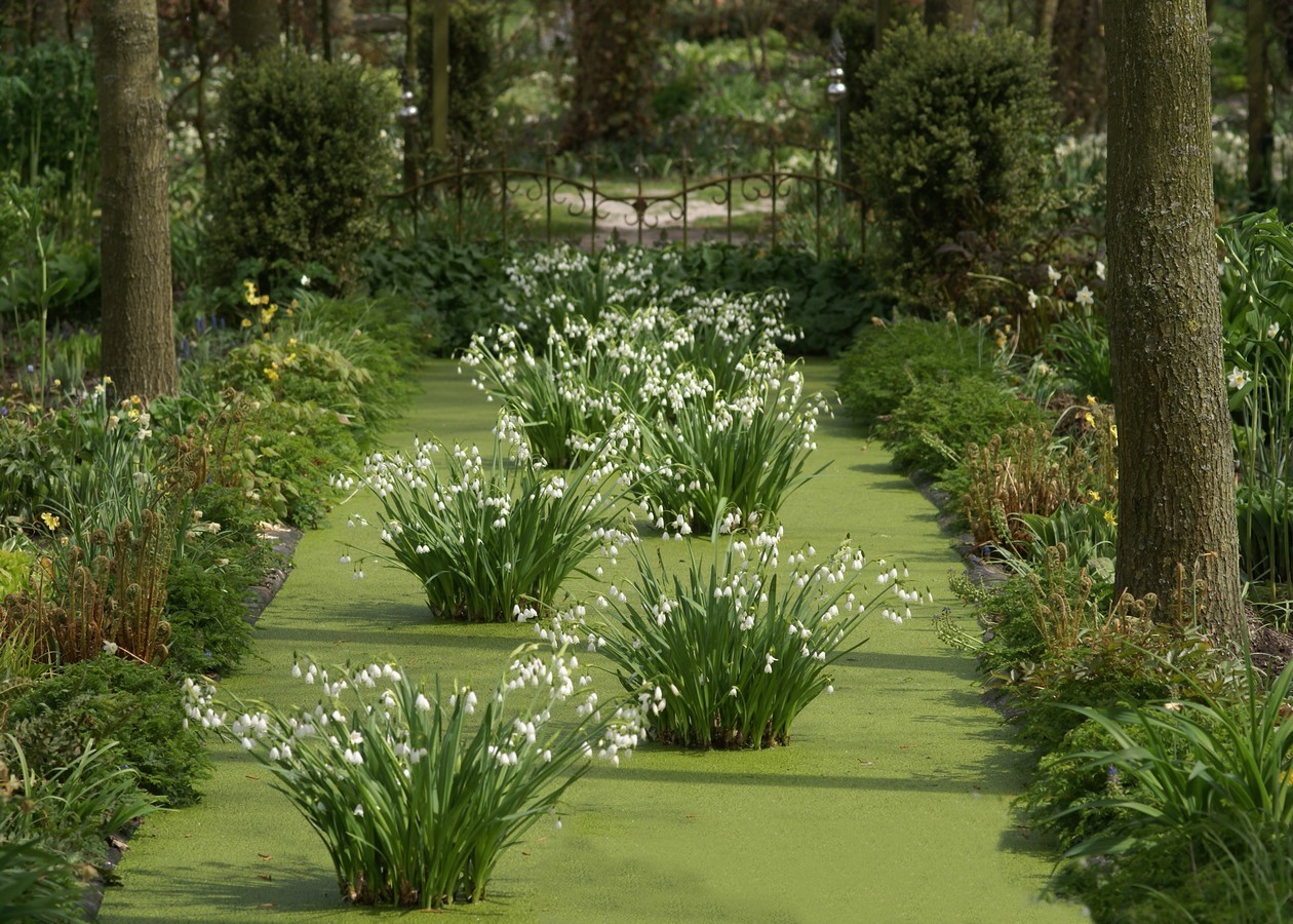 Tuinfleur - Het Tuinpad Op / In Nachbars Garten