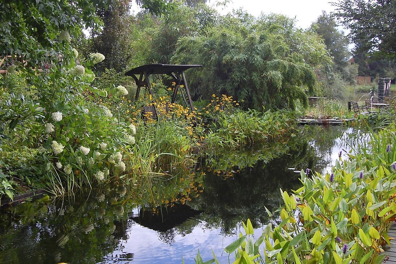 Wassergarten - Het Tuinpad Op / In Nachbars Garten