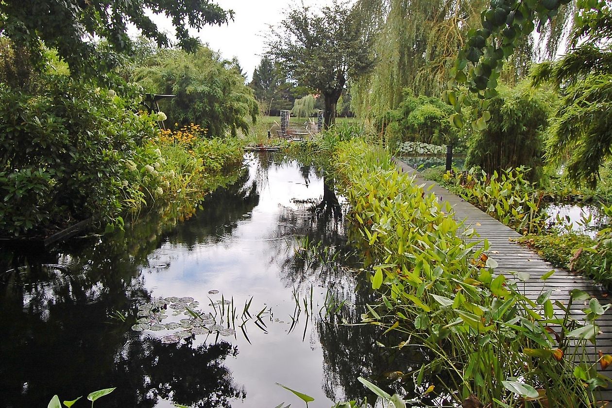 Wassergarten - Het Tuinpad Op / In Nachbars Garten