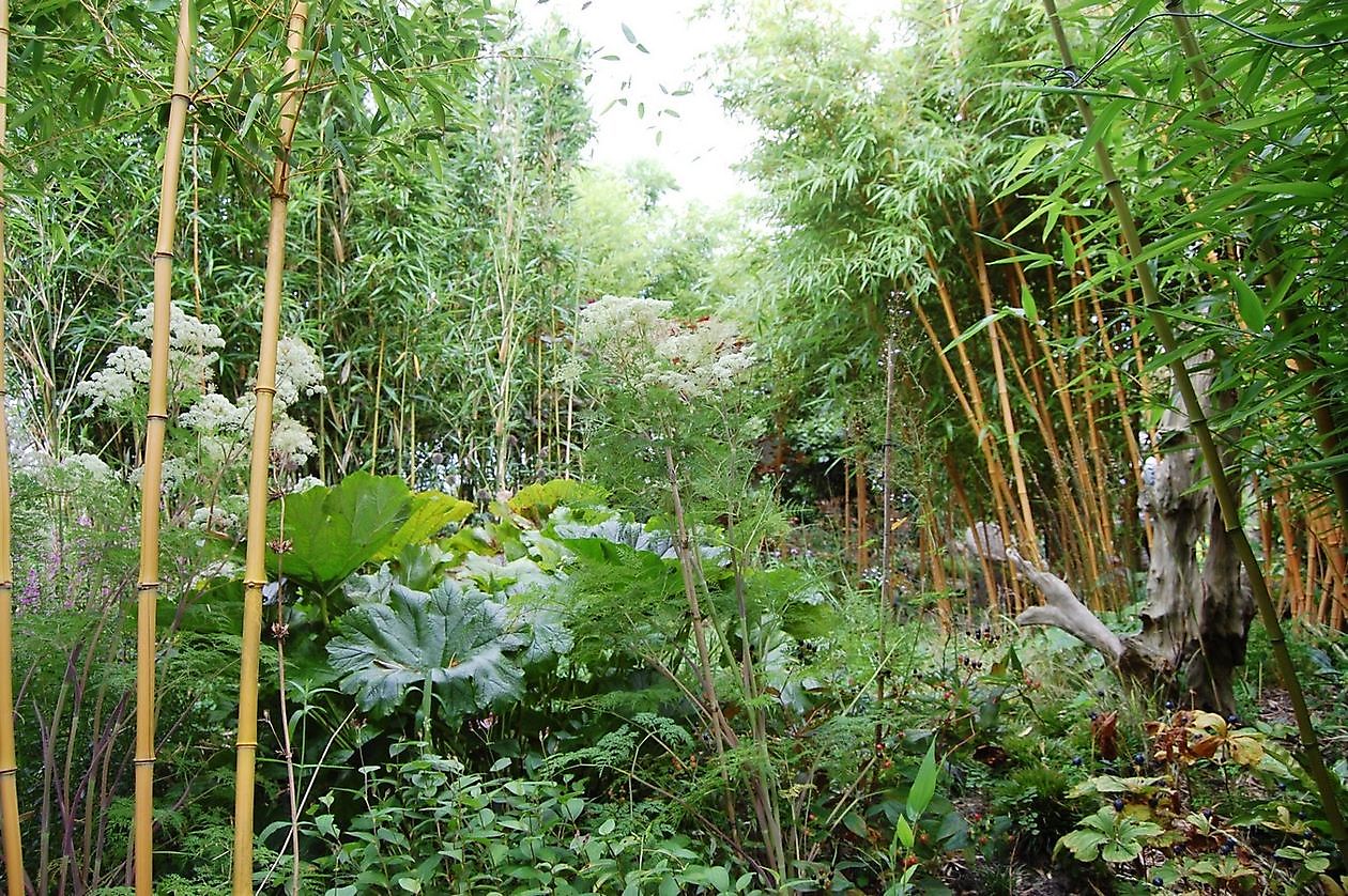 Aan de Dijk - Het Tuinpad Op / In Nachbars Garten