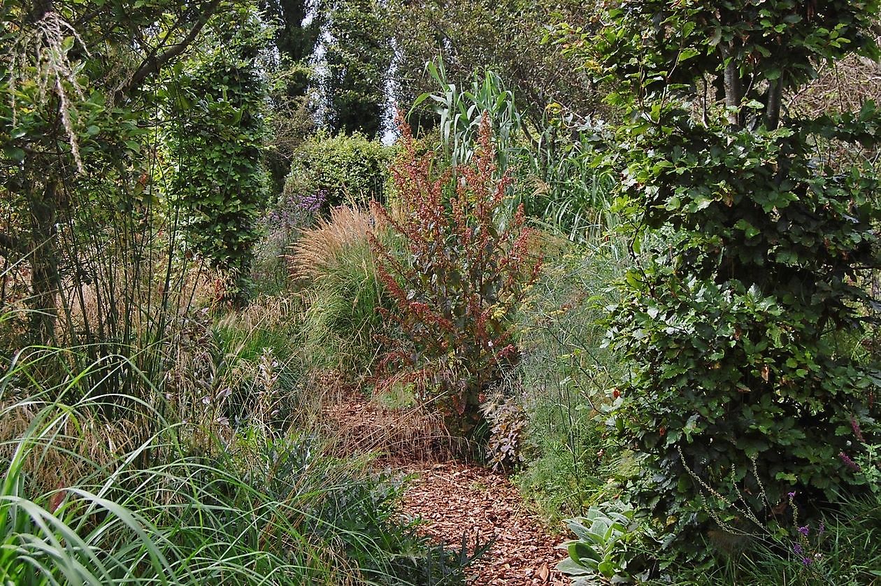 Aan de Dijk - Het Tuinpad Op / In Nachbars Garten