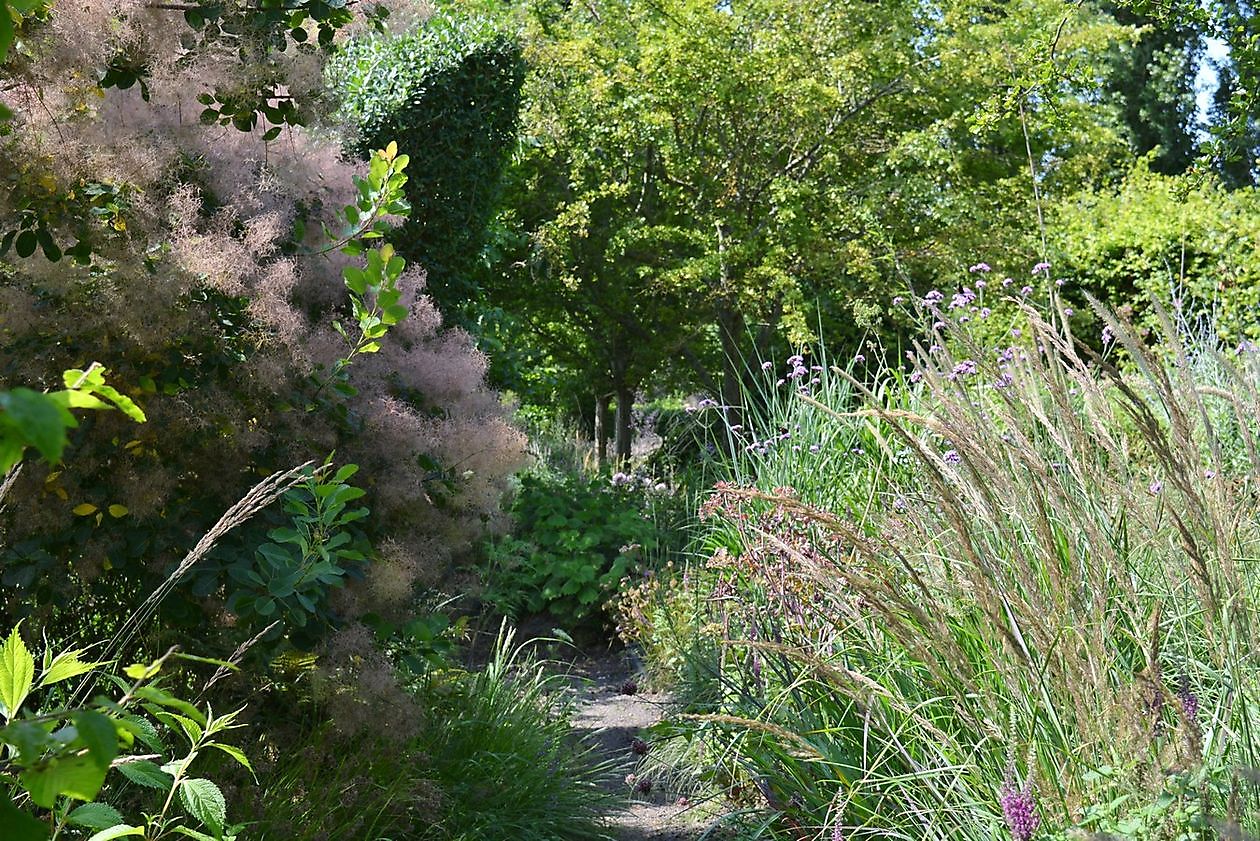 Aan de Dijk - Het Tuinpad Op / In Nachbars Garten