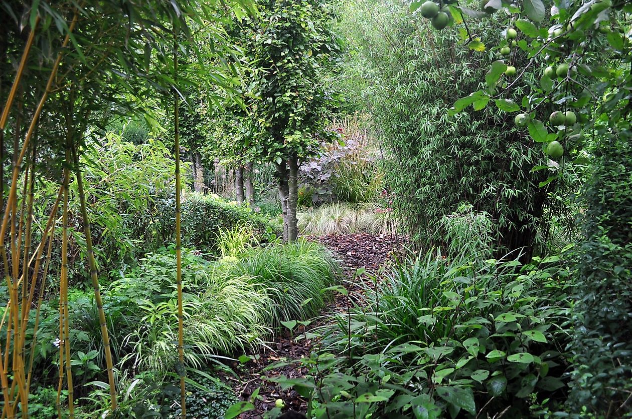 Aan de Dijk - Het Tuinpad Op / In Nachbars Garten