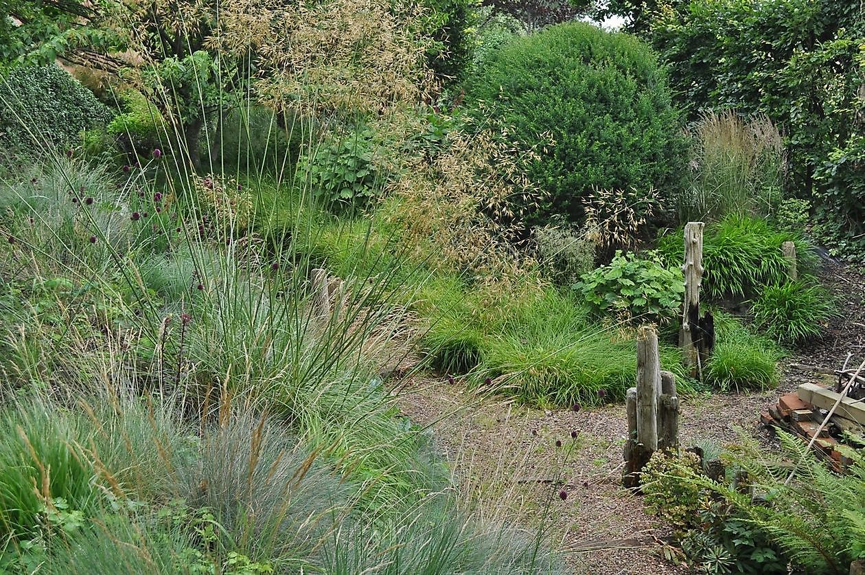 Aan de Dijk - Het Tuinpad Op / In Nachbars Garten