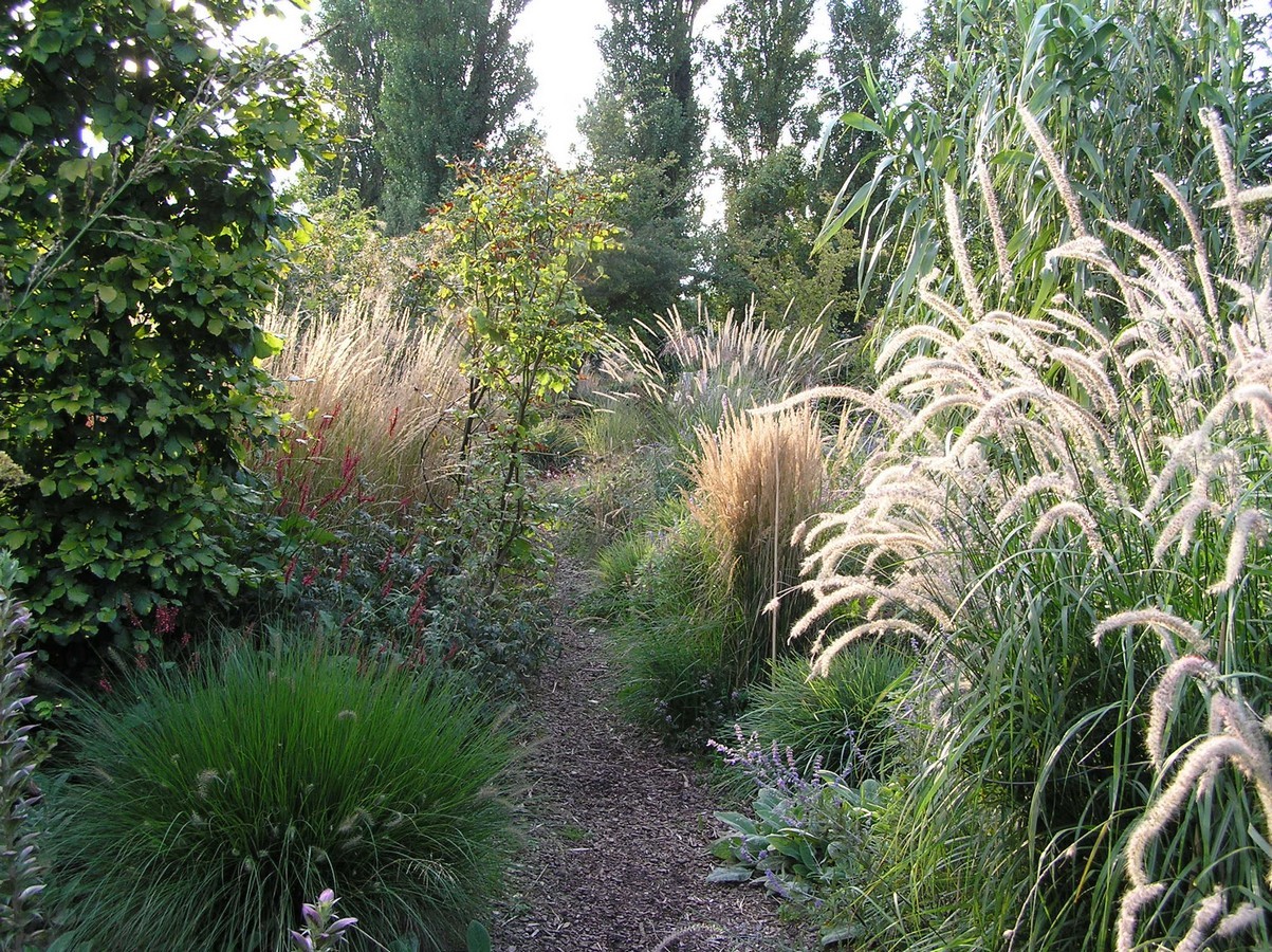 Aan de Dijk - Het Tuinpad Op / In Nachbars Garten