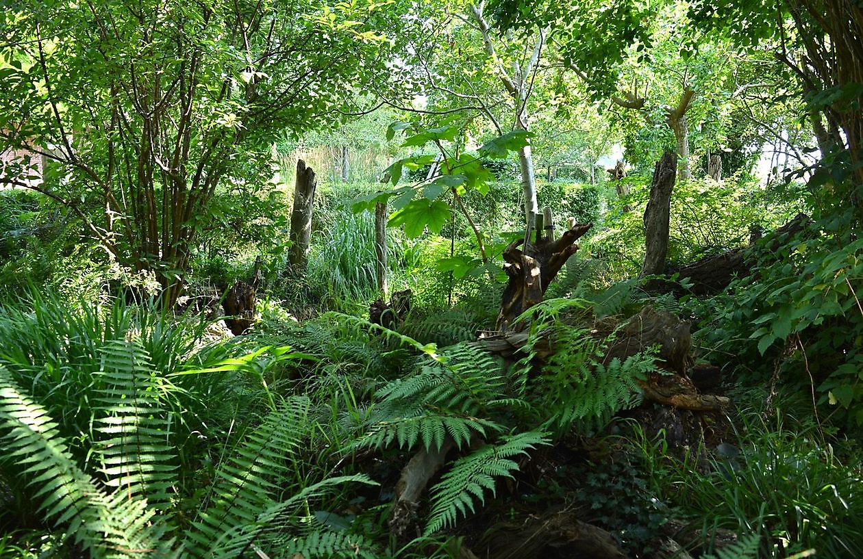 Aan de Dijk - Het Tuinpad Op / In Nachbars Garten