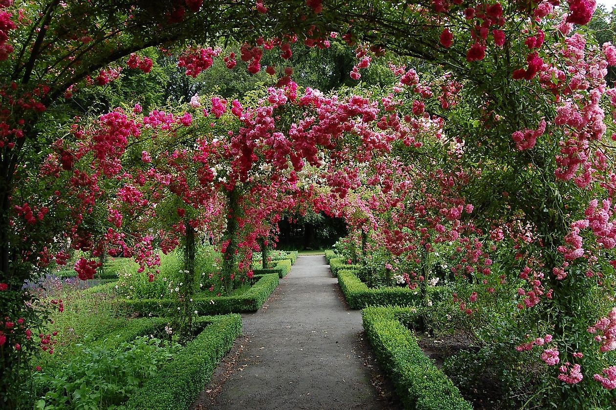 Menkemaborg - Het Tuinpad Op / In Nachbars Garten